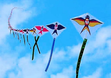 蓝天.jpg 蓝天.jpg