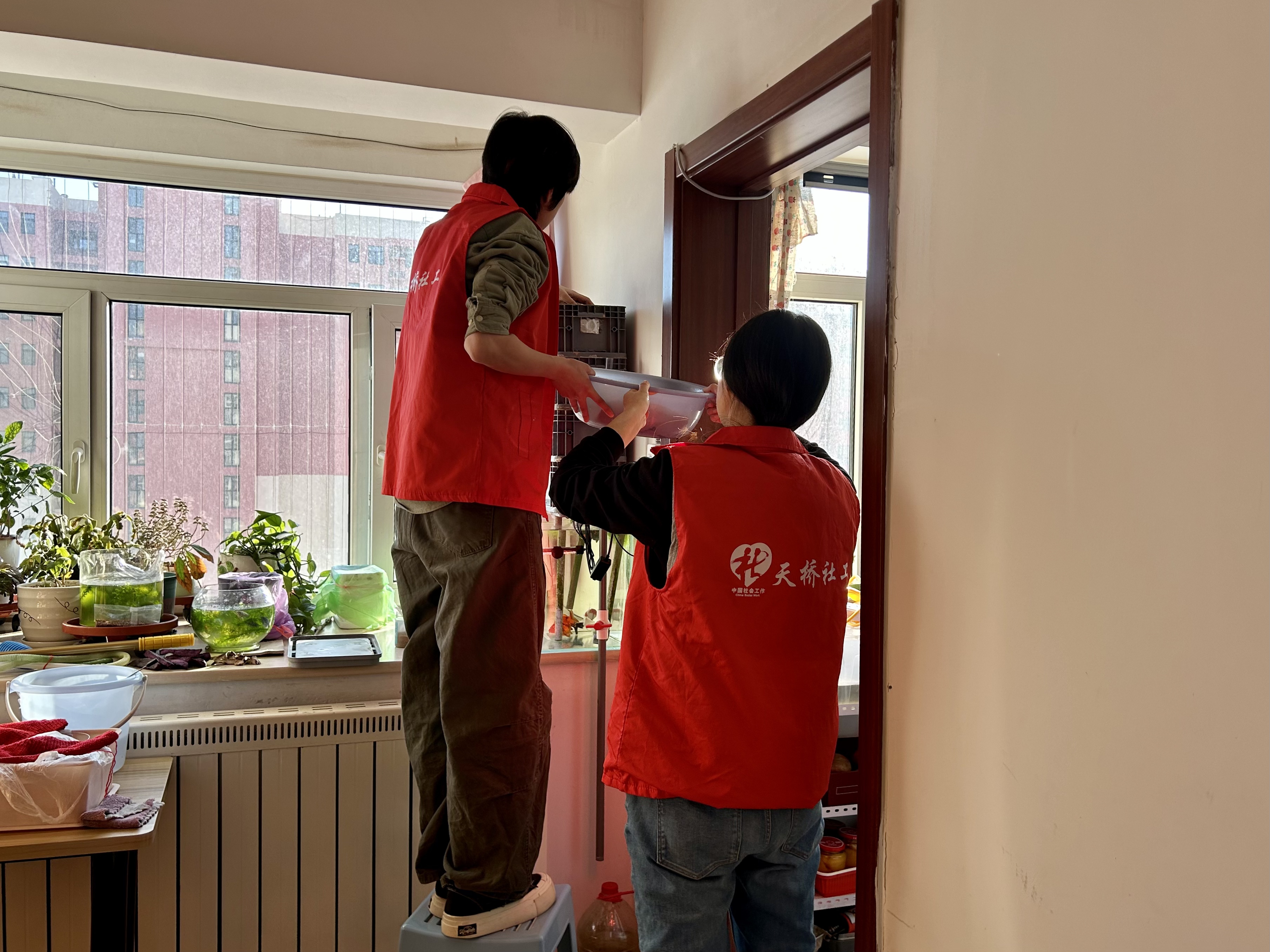 1767928028380441.jpg 照片3.jpg